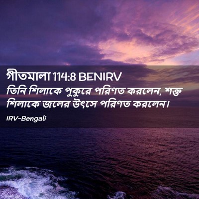 Picture 02 - গীতমালা 114:8 BENIRV - তিনি শিলাকে - Bible Verse Picture