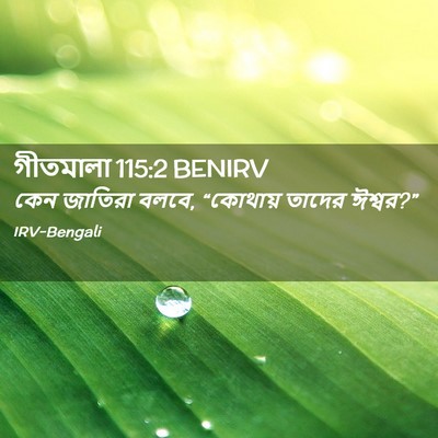 Picture 02 - গীতমালা 115:2 BENIRV - কেন জাতিরা বলবে, - Bible Verse Picture