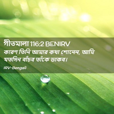 Picture 02 - গীতমালা 116:2 BENIRV - কারণ তিনি আমার কথা - Bible Verse Picture