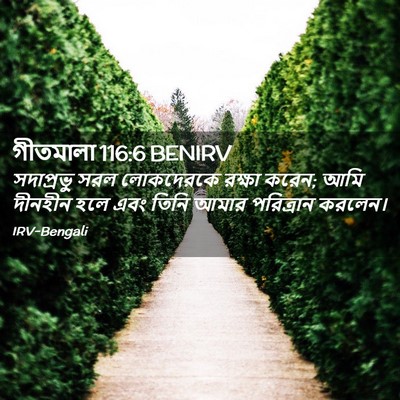 Picture 02 - গীতমালা 116:6 BENIRV - সদাপ্রভুু সরল - Bible Verse Picture