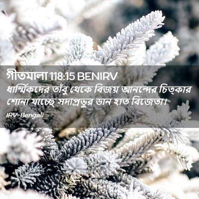 Picture 02 - গীতমালা 118:15 BENIRV - ধার্ম্মিকদের - Bible Verse Picture