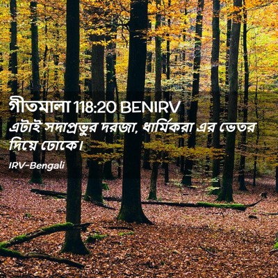 Picture 02 - গীতমালা 118:20 BENIRV - এটাই সদাপ্রভুুর - Bible Verse Picture