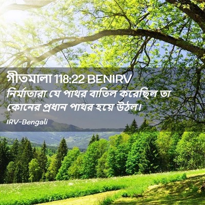 Picture 02 - গীতমালা 118:22 BENIRV - নির্মাতারা যে - Bible Verse Picture
