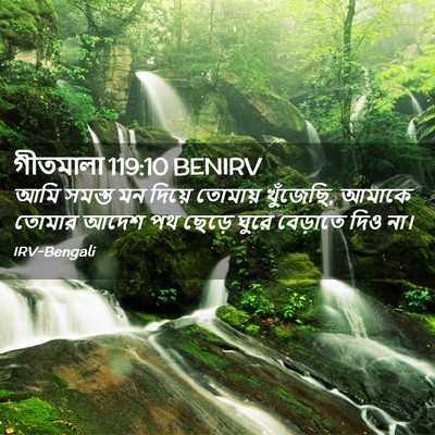 Picture 02 - গীতমালা 119:10 BENIRV - আমি সমস্ত মন দিয়ে - Bible Verse Picture