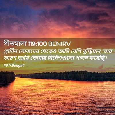 Picture 02 - গীতমালা 119:100 BENIRV - প্রাচীন লোকদের - Bible Verse Picture