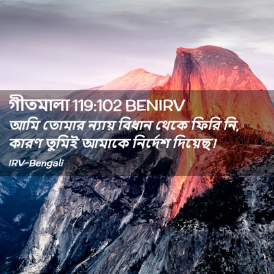 Picture 02 - গীতমালা 119:102 BENIRV - আমি তোমার ন্যায় - Bible Verse Picture