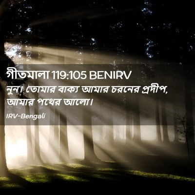Picture 02 - গীতমালা 119:105 BENIRV - নুন। তোমার বাক্য - Bible Verse Picture