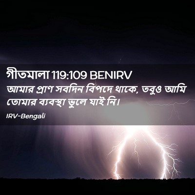 Picture 02 - গীতমালা 119:109 BENIRV - আমার প্রাণ সবদিন - Bible Verse Picture
