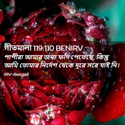 Picture 02 - গীতমালা 119:110 BENIRV - পাপীরা আমার জন্য - Bible Verse Picture