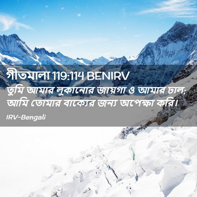 Picture 02 - গীতমালা 119:114 BENIRV - তুমি আমার লুকানোর - Bible Verse Picture