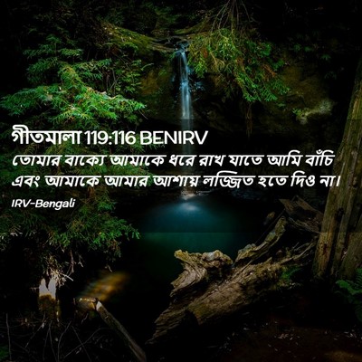 Picture 02 - গীতমালা 119:116 BENIRV - তোমার বাক্যে - Bible Verse Picture