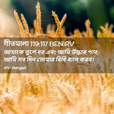 Picture 02 - গীতমালা 119:117 BENIRV - আমাকে তুলে ধর এবং - Bible Verse Picture