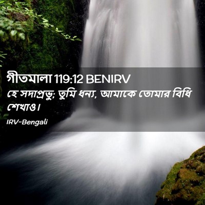 Picture 02 - গীতমালা 119:12 BENIRV - হে সদাপ্রভুু; তুমি - Bible Verse Picture