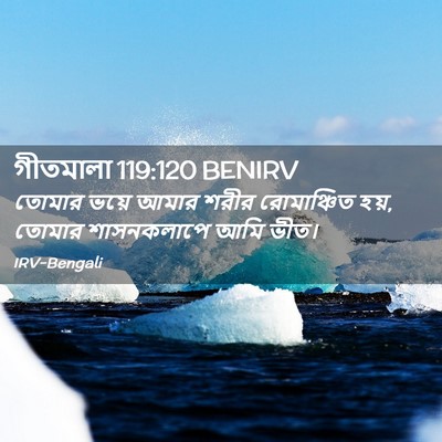 Picture 02 - গীতমালা 119:120 BENIRV - তোমার ভয়ে আমার - Bible Verse Picture