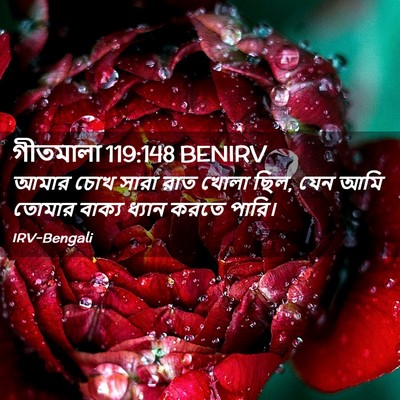 Picture 02 - গীতমালা 119:148 BENIRV - আমার চোখ সারা রাত - Bible Verse Picture