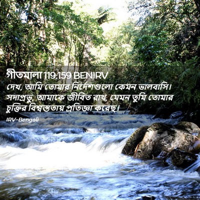 Picture 02 - গীতমালা 119:159 BENIRV - দেখ, আমি তোমার - Bible Verse Picture