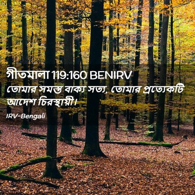 Picture 02 - গীতমালা 119:160 BENIRV - তোমার সমস্ত বাক্য - Bible Verse Picture