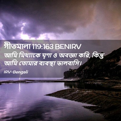 Picture 02 - গীতমালা 119:163 BENIRV - আমি মিথ্যাকে ঘৃণা - Bible Verse Picture