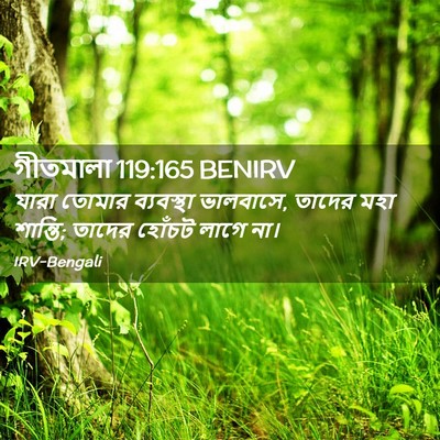 Picture 02 - গীতমালা 119:165 BENIRV - যারা তোমার - Bible Verse Picture
