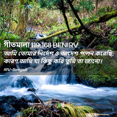 Picture 02 - গীতমালা 119:168 BENIRV - আমি তোমার নির্দেশ - Bible Verse Picture
