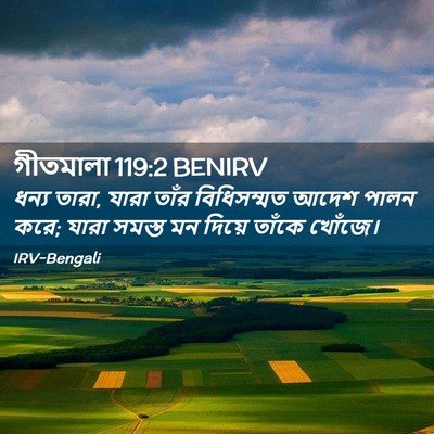 Picture 02 - গীতমালা 119:2 BENIRV - ধন্য তারা, যারা - Bible Verse Picture