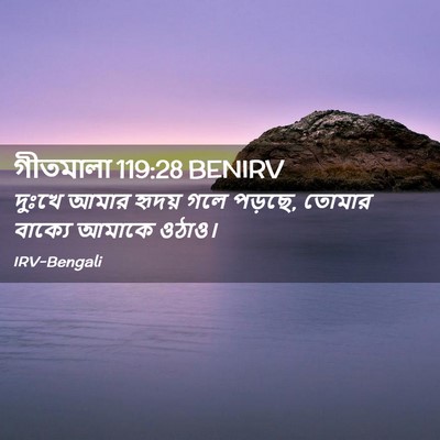 Picture 02 - গীতমালা 119:28 BENIRV - দুঃখে আমার হৃদয় - Bible Verse Picture