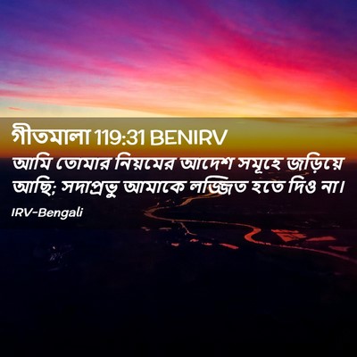 Picture 02 - গীতমালা 119:31 BENIRV - আমি তোমার নিয়মের - Bible Verse Picture