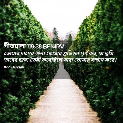 Picture 02 - গীতমালা 119:38 BENIRV - তোমার দাসের জন্য - Bible Verse Picture
