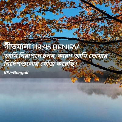 Picture 02 - গীতমালা 119:45 BENIRV - আমি নিরাপদে চলব, - Bible Verse Picture