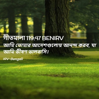 Picture 02 - গীতমালা 119:47 BENIRV - আমি তোমার - Bible Verse Picture