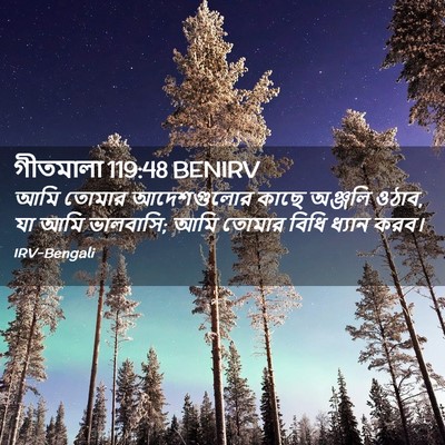 Picture 02 - গীতমালা 119:48 BENIRV - আমি তোমার - Bible Verse Picture
