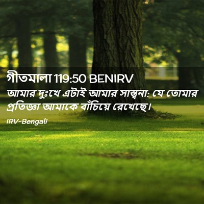 Picture 02 - গীতমালা 119:50 BENIRV - আমার দুঃখে এটাই - Bible Verse Picture