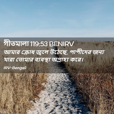 Picture 02 - গীতমালা 119:53 BENIRV - আমার ক্রোধ জ্বলে - Bible Verse Picture