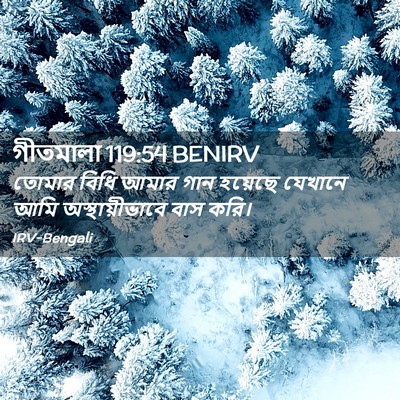 Picture 02 - গীতমালা 119:54 BENIRV - তোমার বিধি আমার - Bible Verse Picture