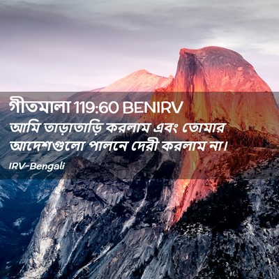 Picture 02 - গীতমালা 119:60 BENIRV - আমি তাড়াতাড়ি - Bible Verse Picture