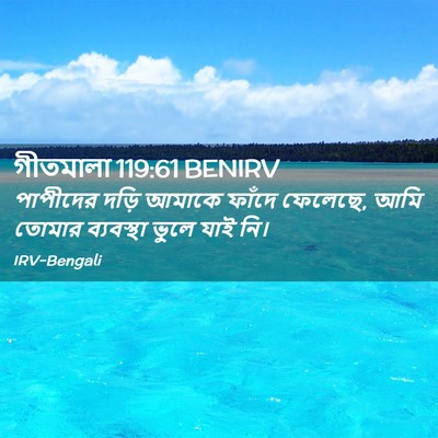 Picture 02 - গীতমালা 119:61 BENIRV - পাপীদের দড়ি - Bible Verse Picture