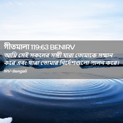 Picture 02 - গীতমালা 119:63 BENIRV - আমি সেই সকলের - Bible Verse Picture