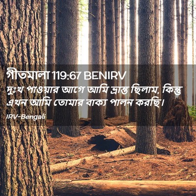 Picture 02 - গীতমালা 119:67 BENIRV - দুঃখ পাওয়ার আগে - Bible Verse Picture