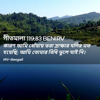 Picture 02 - গীতমালা 119:83 BENIRV - কারণ আমি ধোঁয়ায় - Bible Verse Picture