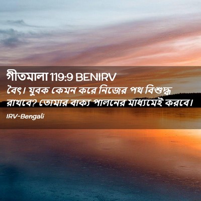 Picture 02 - গীতমালা 119:9 BENIRV - বৈৎ। যুবক কেমন করে - Bible Verse Picture
