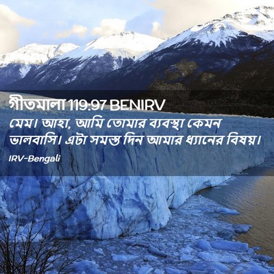 Picture 02 - গীতমালা 119:97 BENIRV - মেম। আহা, আমি তোমার - Bible Verse Picture