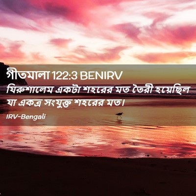 Picture 02 - গীতমালা 122:3 BENIRV - যিরুশালেম একটা - Bible Verse Picture
