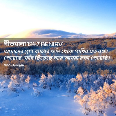 Picture 02 - গীতমালা 124:7 BENIRV - আমাদের প্রাণ - Bible Verse Picture