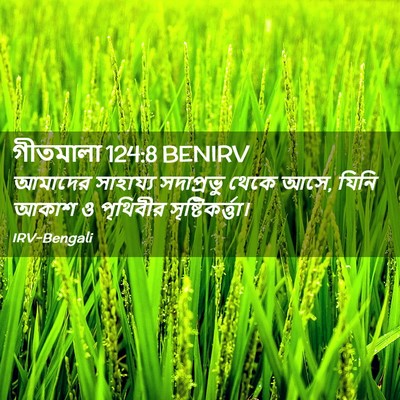 Picture 02 - গীতমালা 124:8 BENIRV - আমাদের সাহায্য - Bible Verse Picture