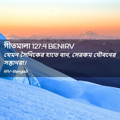 Picture 02 - গীতমালা 127:4 BENIRV - যেমন সৈনিকের হাতে - Bible Verse Picture