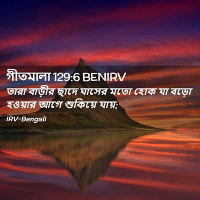 Picture 02 - গীতমালা 129:6 BENIRV - তারা বাড়ীর ছাদে - Bible Verse Picture