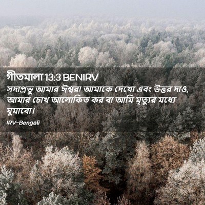 Picture 02 - গীতমালা 13:3 BENIRV - সদাপ্রভুু আমার - Bible Verse Picture