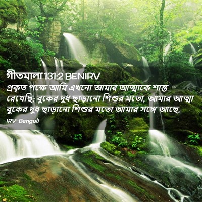 Picture 02 - গীতমালা 131:2 BENIRV - প্রকৃত পক্ষে আমি - Bible Verse Picture