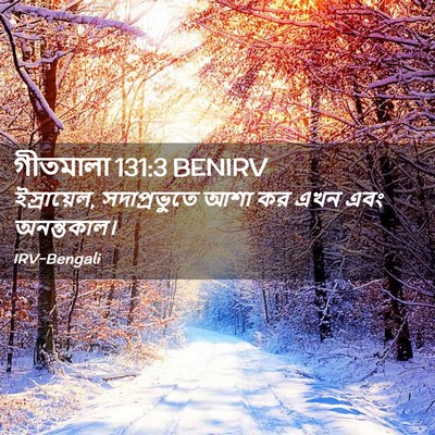 Picture 02 - গীতমালা 131:3 BENIRV - ইস্রায়েল, - Bible Verse Picture