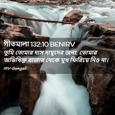 Picture 02 - গীতমালা 132:10 BENIRV - তুমি তোমার দাস - Bible Verse Picture